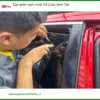 Trung Tâm Dán Phim Cách Nhiệt Ô Tô phim cách nhiệt 3M Quận Bình Tân - Giá Tốt TPHCM